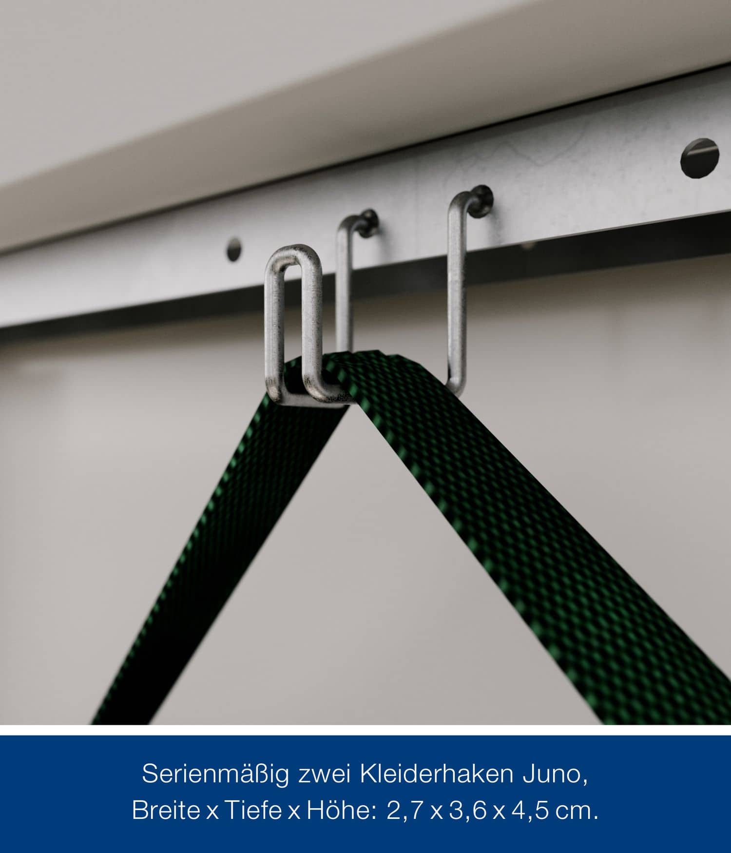 Gerätehaus Hörmann Juno Design mit Satteldach 1-flügelig