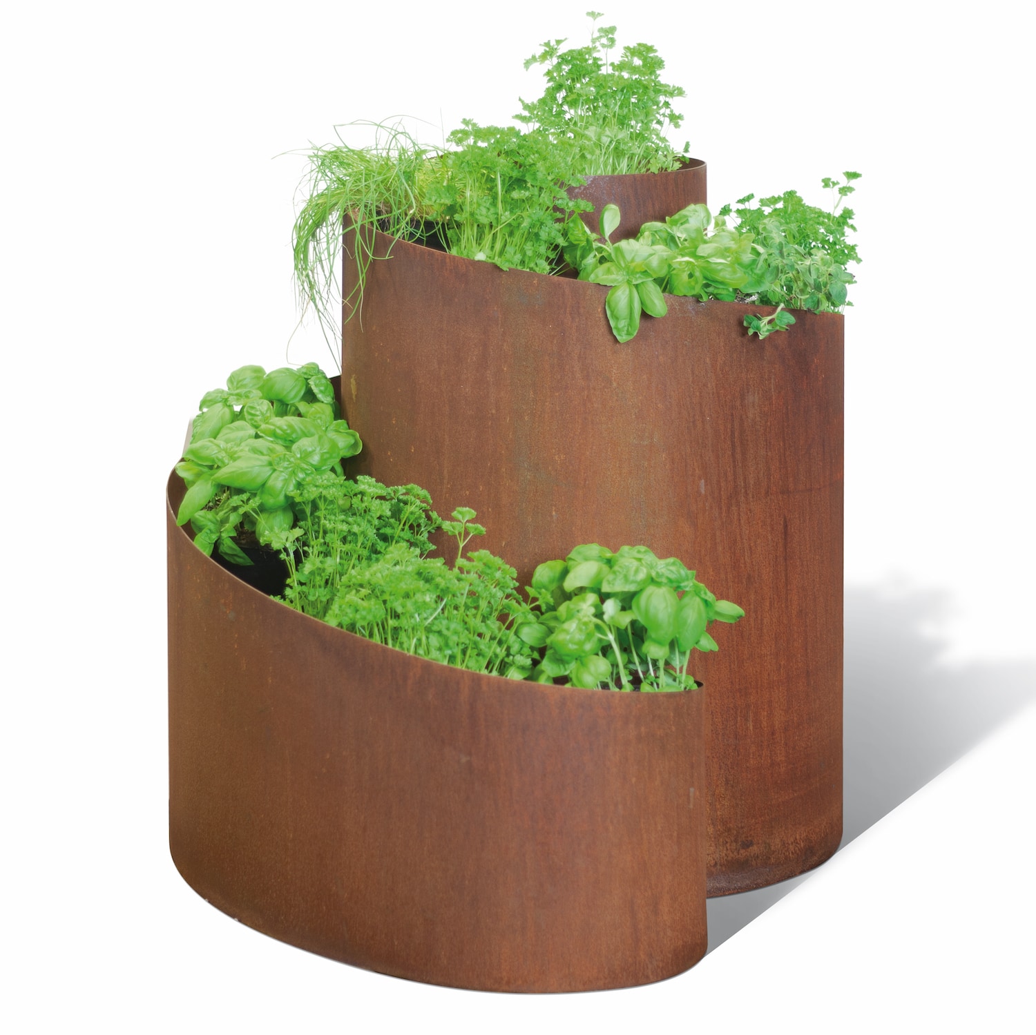 Spirale pour herbes aromatique en acier Corten 