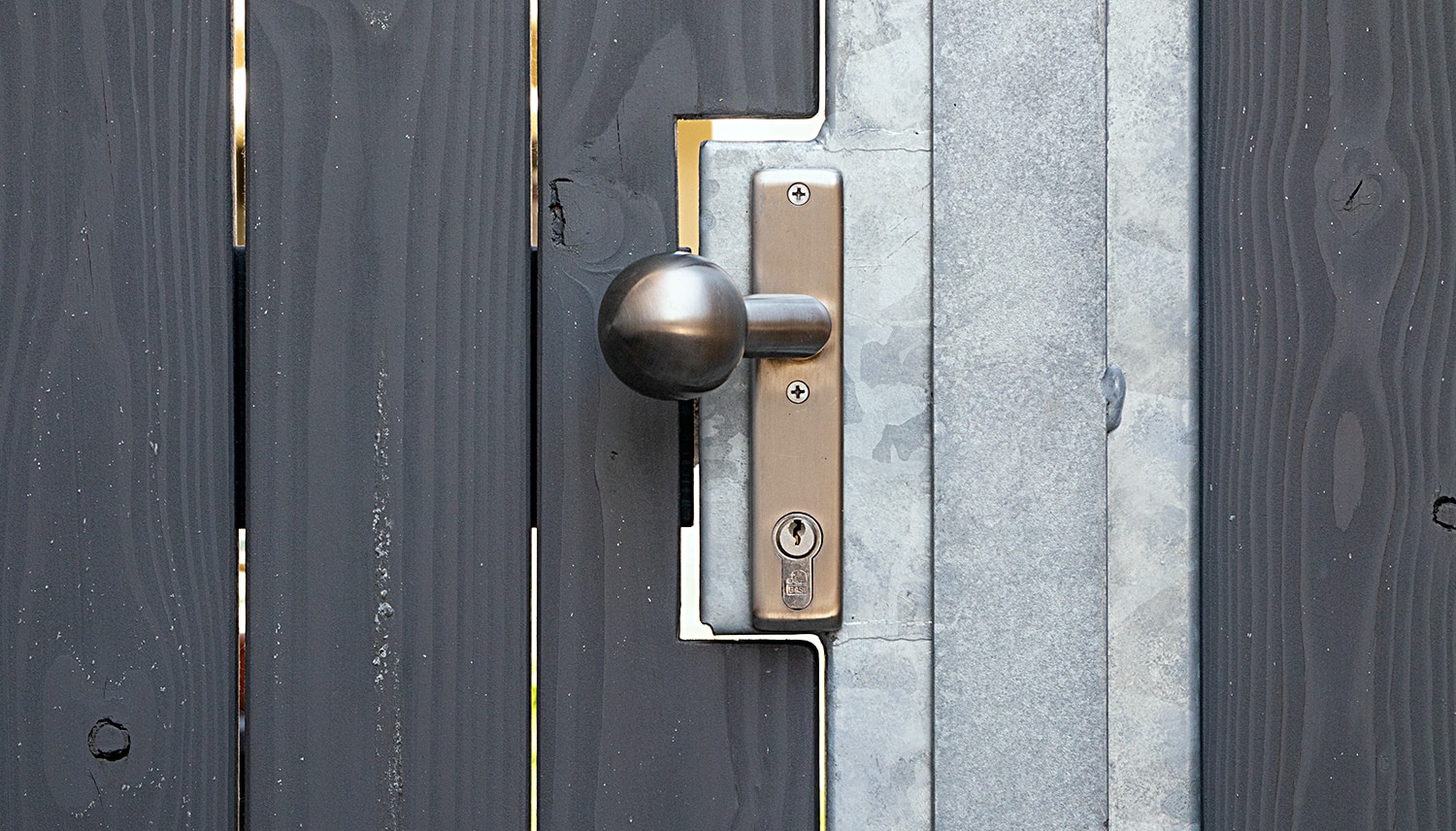 Portillon de jardin en acier galvanisé à 2 battants EF, OB